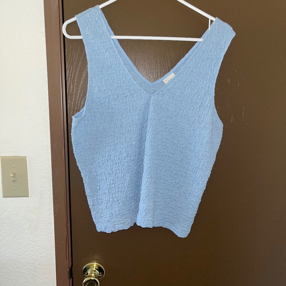 Size XL Blue Crop Tank Top